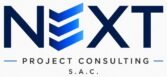 next project consulting